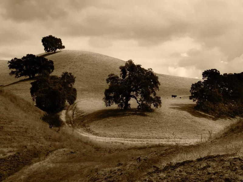 sudoku forcing chains